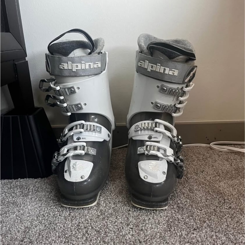 Alpina Gray and White Ski Boots